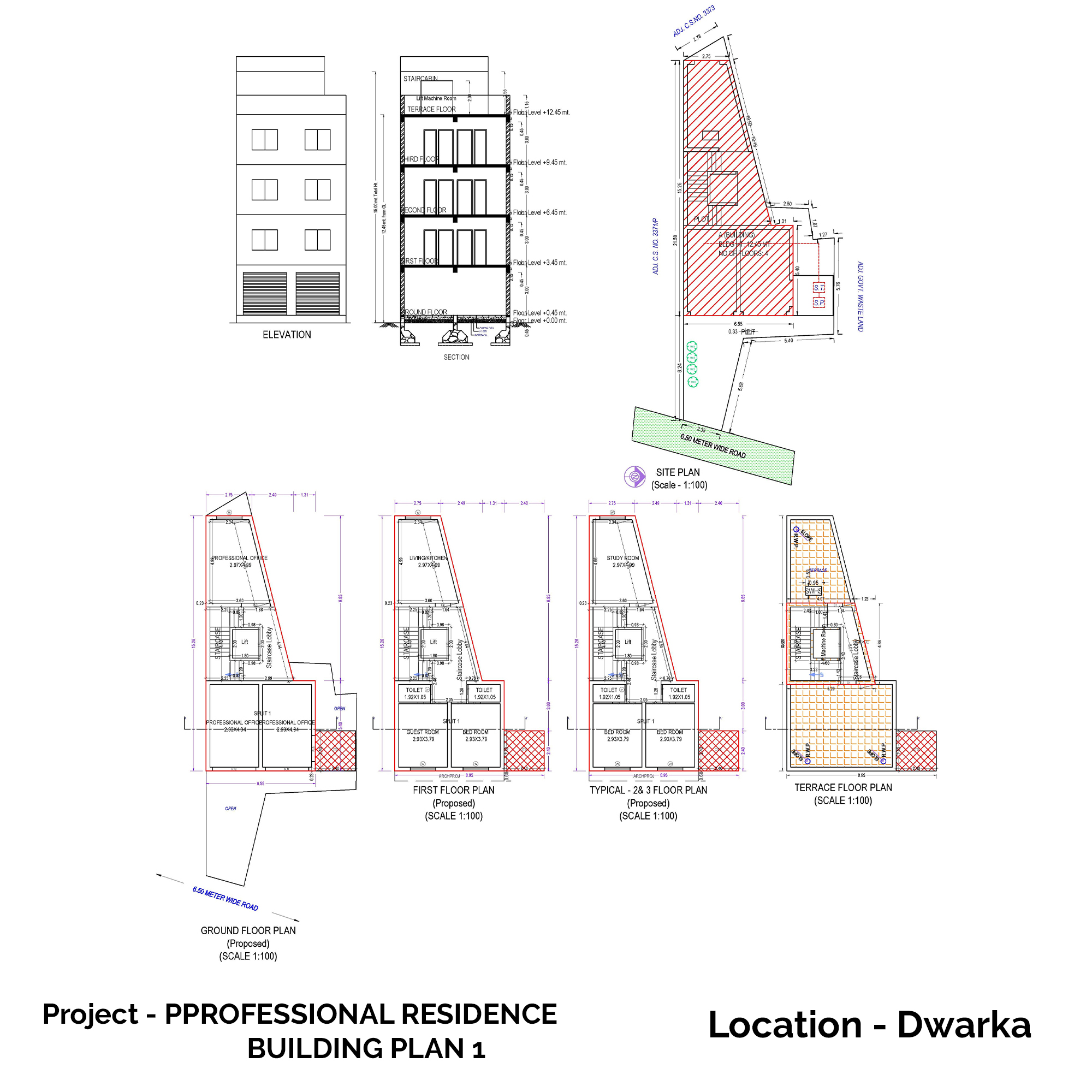 Professional Residence Building Plan - Dwarka
